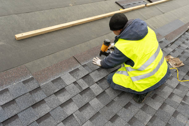 Roof Gutter Cleaning in Ashland, AL